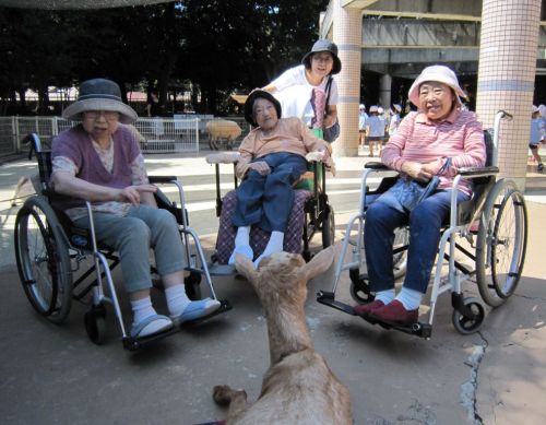 「公園にこんなに動物がいるんだね」