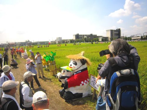 たちまちカメラマンさんに囲まれちゃいました